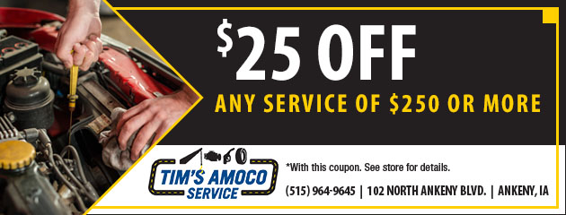 $25 Off Any Service of $250 or More