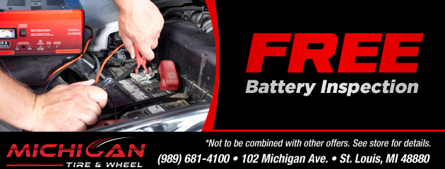 Free Battery Inspection