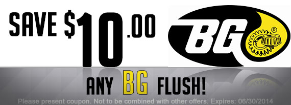 Save $10 on Any BG Flush