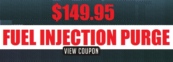 $149.95 Fuel Injection Purge