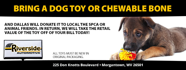 Bring a dog toy or chewable bone