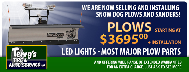 Now selling Snow Dog!