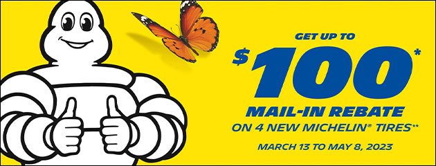 Michelin - $100 Mail-In Rebate