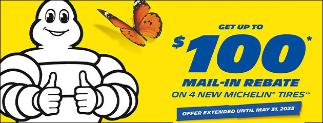 Michelin - $100 Mail-In Rebate