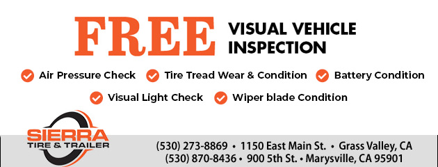 Free Visual Vehicle Inspection