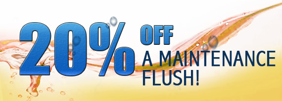 20% off Maintenance Flush 
