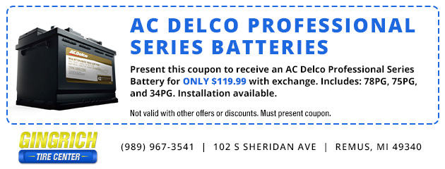 AC Delco Professional Series Battery Special