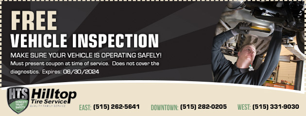 Free Vehicle Inspection Special