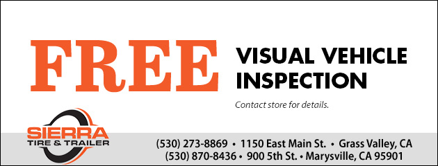 Free Visual Vehicle Inspection