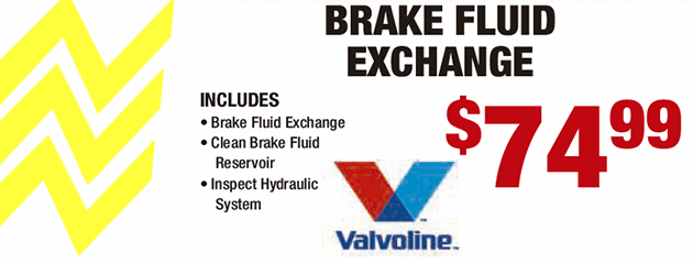 Brake Fluid Exchange