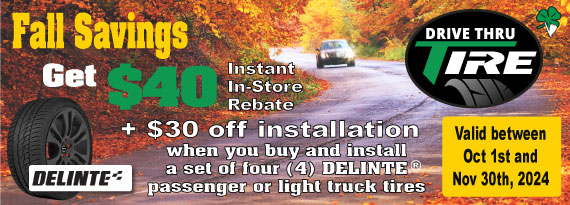 Save $30 on Delinte Tires