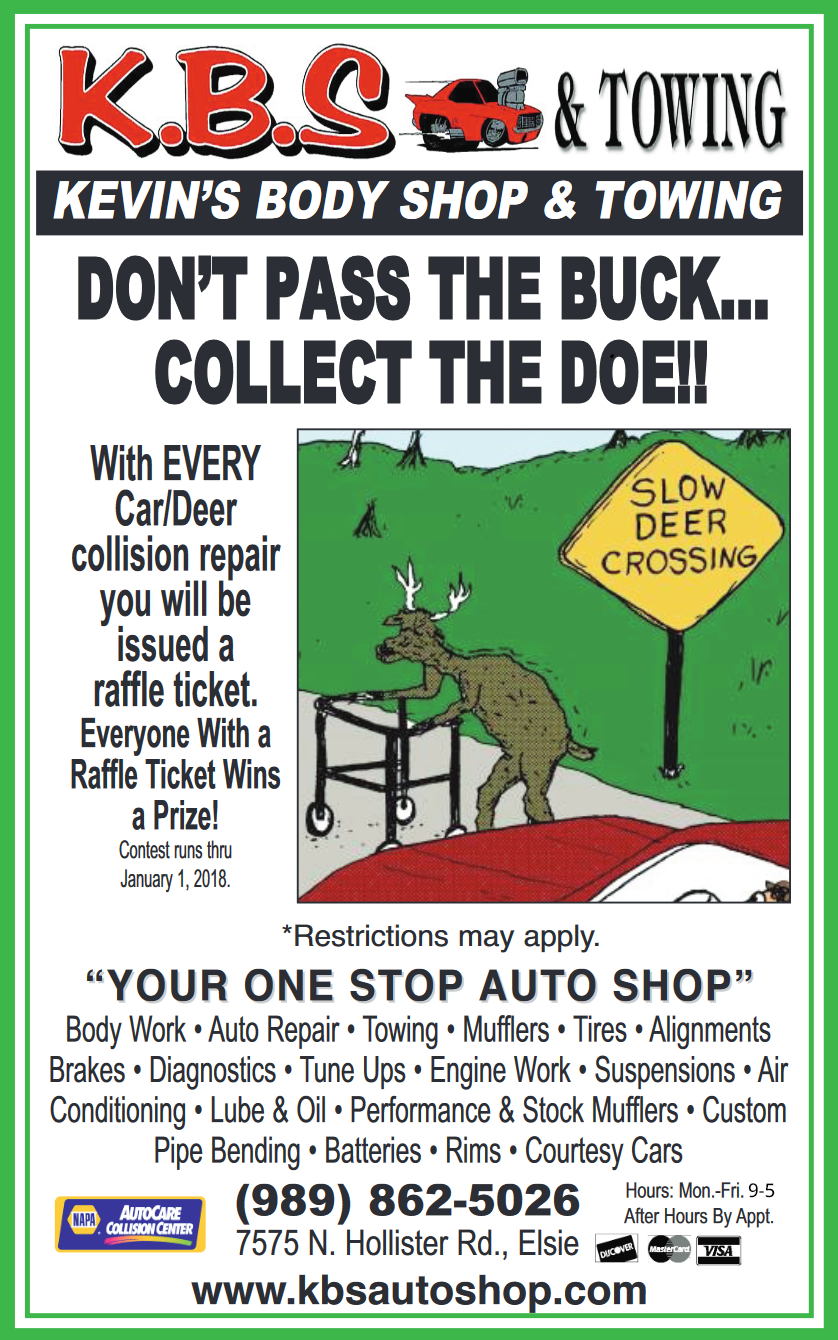 Deer collision Repair